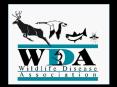 Wildlife%20Disease%20Association PowerPoint PPT Presentation
