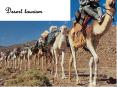 Desert tourism PowerPoint PPT Presentation