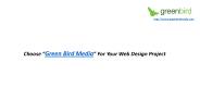 Green Bird Media - San Diego Web Design Company