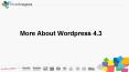 More About WordPress 4.3 PowerPoint PPT Presentation