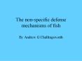 The non-specific defense mechanisms of fish PowerPoint PPT Presentation