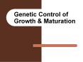 Genetic Control of Growth PowerPoint PPT Presentation