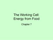 The Working Cell: Energy from Food