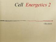 Glycolysis