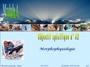 Aucun titre de diapositive