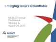 Emerging Issues Roundtable PowerPoint PPT Presentation