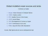 Global modelled ocean sources and sinks