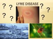 Lyme Disease