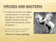 Viruses and Bacteria