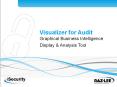 Visualizer for Audit PowerPoint PPT Presentation