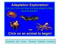 Adaptation Exploration! Can you find out how animals adapt to their environments?     Click on an animal to begin! PowerPoint PPT Presentation