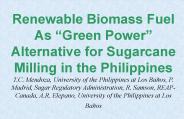 Renewable Biomass Fuel As 