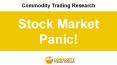 Stock Market Panic! PowerPoint PPT Presentation