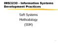 IMS3230 - Information Systems Development Practices PowerPoint PPT Presentation