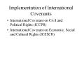 Implementation of International Covenants PowerPoint PPT Presentation