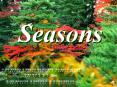 Seasons PowerPoint PPT Presentation