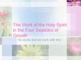 The Work of the Holy Spirit in the Four Seasons of Growth PowerPoint PPT Presentation