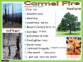 Carmel Fire PowerPoint PPT Presentation