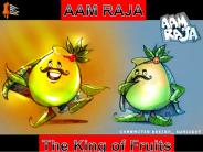 AAM RAJA