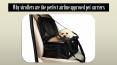 Why strollers are the perfect airline approved pet carriers PowerPoint PPT Presentation