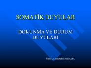 SOMATIK DUYULAR