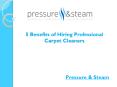 5 Benefits of Hiring Professional Carpet Cleaners PowerPoint PPT Presentation