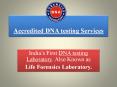 DNA Immigration Test PowerPoint PPT Presentation