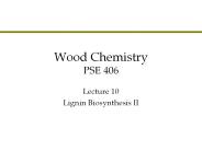 Wood%20Chemistry%20PSE%20406