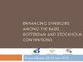 ENHANCING SYNERGIES AMONG THE BASEL, ROTTERDAM AND STOCKHOLM CONVENTIONS PowerPoint PPT Presentation