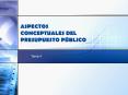 ASPECTOS CONCEPTUALES DEL PRESUPUESTO P PowerPoint PPT Presentation