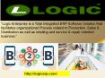 logicerp.com - Ecommerce and B2B Software | Retail ERP Software PowerPoint PPT Presentation