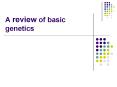 A review of basic genetics PowerPoint PPT Presentation