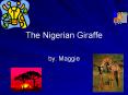 The Nigerian Giraffe PowerPoint PPT Presentation