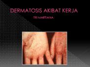 DERMATOSIS AKIBAT KERJA         TRI MARTIANA