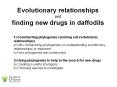 Evolutionary relationships and finding new drugs in daffodils PowerPoint PPT Presentation