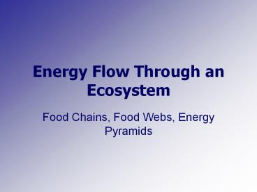 Energy Flow Through an Ecosystem