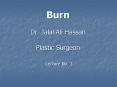Burn Dr. Jalal Ali Hassan Plastic Surgeon  Lecture No. 1 PowerPoint PPT Presentation