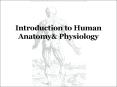 Introduction to Human Anatomy PowerPoint PPT Presentation