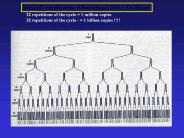 22 repetitions of the cycle = 1 million copies