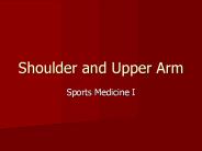 Shoulder and Upper Arm
