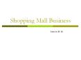Shopping Mall Business