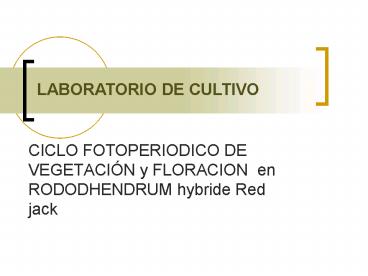 CICLO FOTOPERIODICO DE VEGETACI