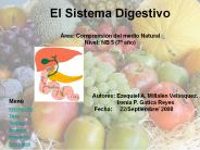 El Sistema Digestivo