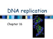 DNA replication