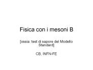 Fisica con i mesoni B