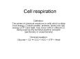 Cell respiration PowerPoint PPT Presentation