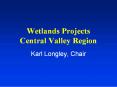 Wetlands Projects Central Valley Region PowerPoint PPT Presentation