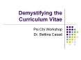 Demystifying the Curriculum Vitae PowerPoint PPT Presentation
