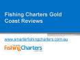 Best Fishing Charters Gold Coast Reviews - www.smarterfishingcharters.com.au PowerPoint PPT Presentation