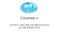 CHAPTER 16 OUTPUT AND THE EXCHNAGE RATE IN THE SHORT RUN PowerPoint PPT Presentation